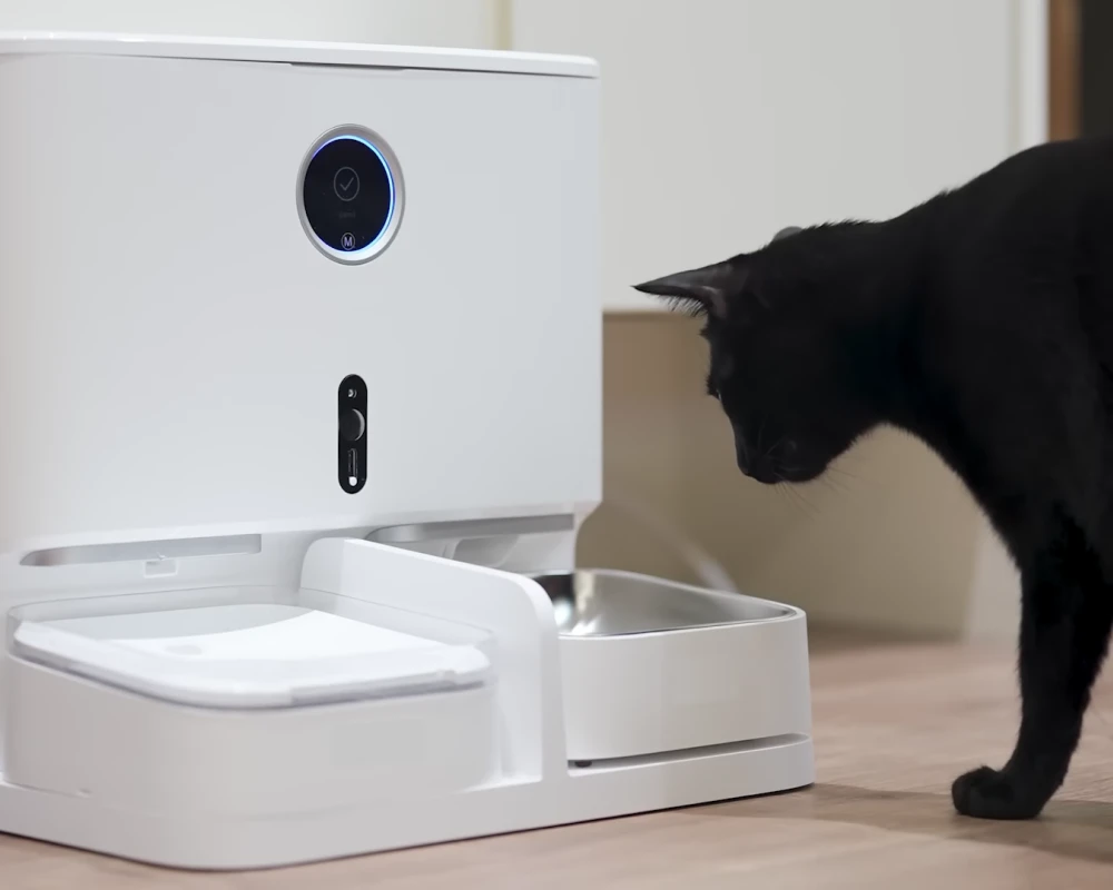 dog feeder automatic